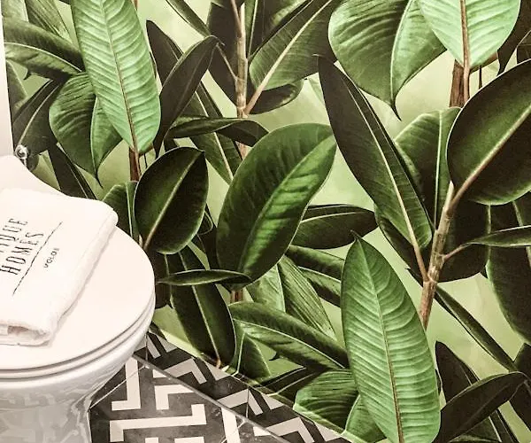 Boutique Homes Volos