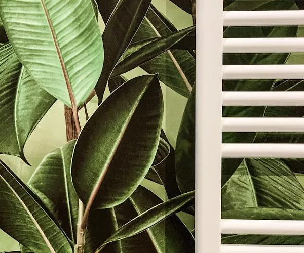 Boutique Homes * Volos