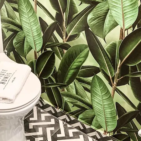 Boutique Homes 볼로스